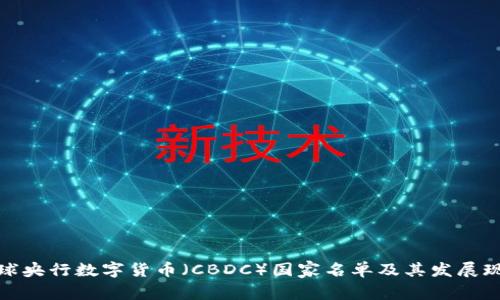 全球央行数字货币（CBDC）国家名单及其发展现状