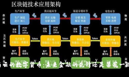 马云的数字货币：未来金融的先锋还是昙花一现？