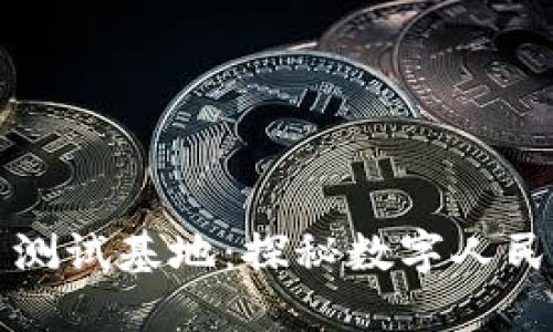 山东数字货币测试基地：探秘数字人民币的未来发展
