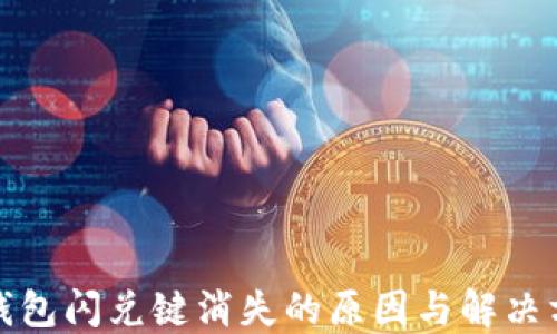 
TP钱包闪兑键消失的原因与解决方案