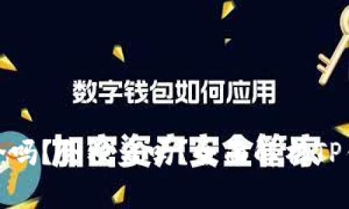 TP钱包安全吗？会被盗吗？全面解析TP钱包安全性