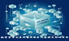 数字货币交易所暂停服务的原因及影响分析