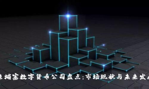 柬埔寨数字货币公司盘点：市场现状与未来发展