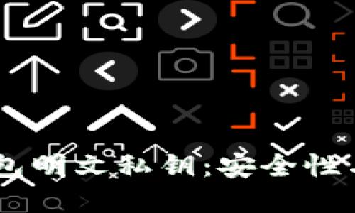 了解TP钱包明文私钥：安全性与使用指南