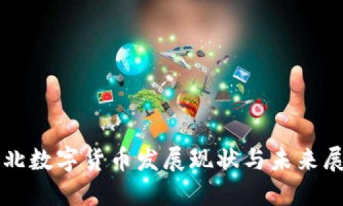 河北数字货币发展现状与未来展望
