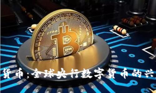 设计

政治数字货币：全球央行数字货币的兴起与影响