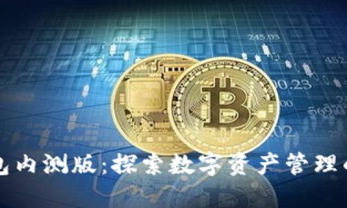 TP钱包内测版：探索数字资产管理的未来
