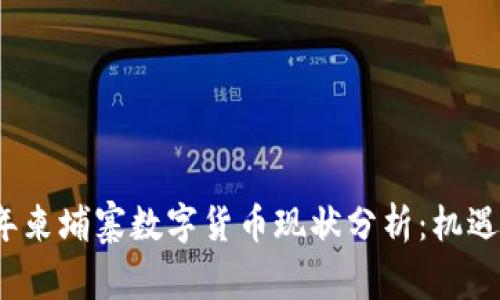 2023年柬埔寨数字货币现状分析：机遇与挑战