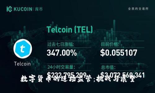 数字货币的进场监管：挑战与展望
