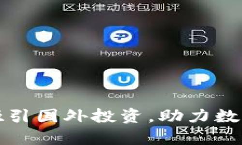 如何有效吸引国外投资，助力数字货币发展