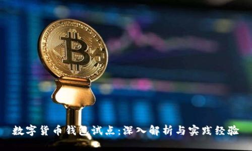数字货币钱包试点：深入解析与实践经验