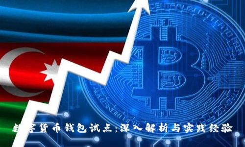 数字货币钱包试点：深入解析与实践经验