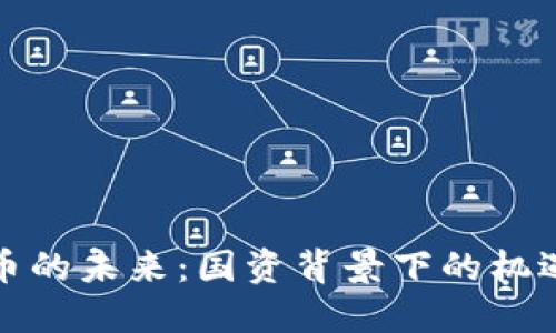 数字货币的未来：国资背景下的机遇与挑战