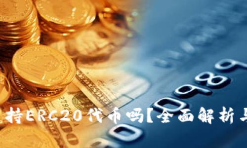  TP钱包支持ERC20代币吗？全面解析与使用指南
