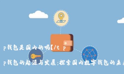 t p钱包是国内的吗？/t p

t p钱包的起源与发展：探索国内数字钱包的未来