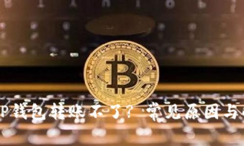 为什么TP钱包转账不了? 常见原因与解决方法