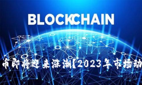 数字货币即将迎来涨潮？2023年市场动态透析