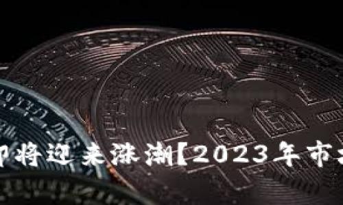 数字货币即将迎来涨潮？2023年市场动态透析