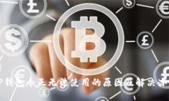 TP钱包今天无法使用的原因及解决办法