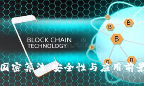 数字货币与国密算法：安全性与应用前景的深度分析