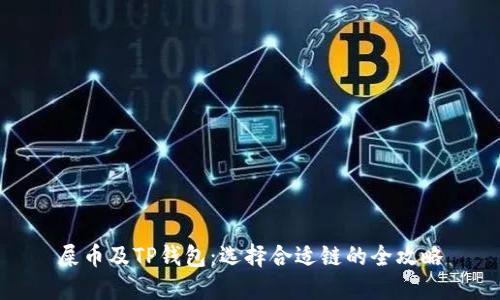 屎币及TP钱包：选择合适链的全攻略