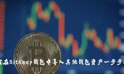 如何在BitKeep钱包中导入其他钱包资产一步步指南