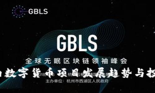 2023年国内数字货币项目发展趋势与投资机会分析
