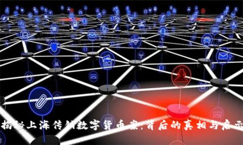 揭秘上海传销数字货币案：背后的真相与启示