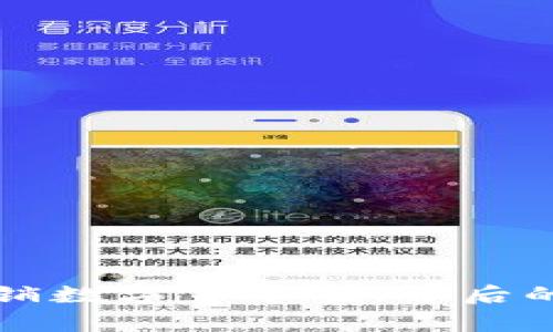 揭秘上海传销数字货币案：背后的真相与启示
