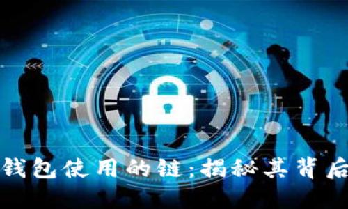 BNB提到TP钱包使用的链：揭秘其背后的技术原理
