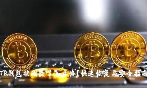 TP钱包被删除了怎么办？快速恢复与安全指南
