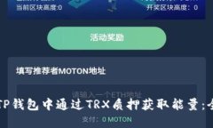 如何在TP钱包中通过TRX质押获取能量：全面指南