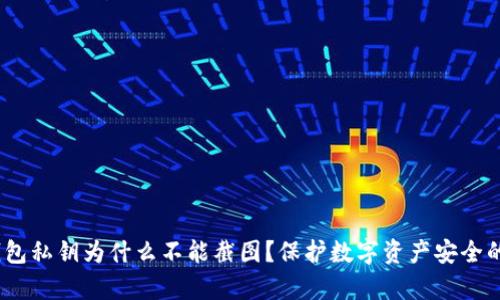 t p钱包私钥为什么不能截图？保护数字资产安全的关键