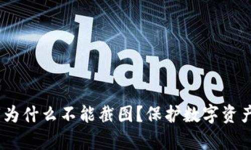 t p钱包私钥为什么不能截图？保护数字资产安全的关键