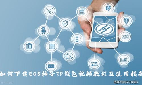 如何下载EOS柚子TP钱包视频教程及使用指南