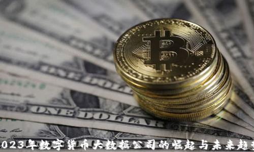 
2023年数字货币大数据公司的崛起与未来趋势