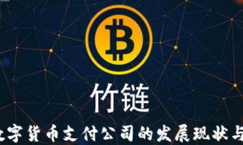 
2023年数字货币支付公司的发展现状与未来趋势
