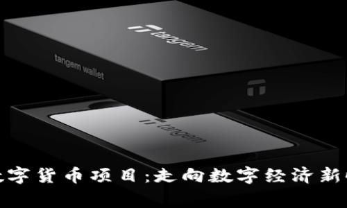 老挝国家数字货币项目：走向数字经济新时代的先锋