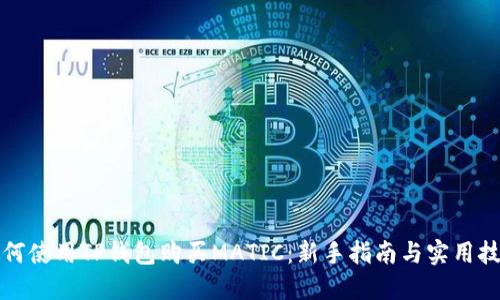 如何使用TP钱包购买MATIC：新手指南与实用技巧