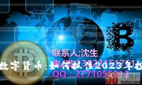 帝师讲数字货币：如何抓住2023年投资机会