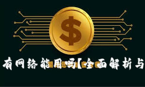 TP钱包没有网络能用吗？全面解析与解决方案