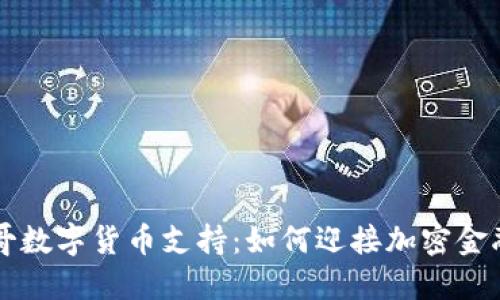 墨西哥数字货币支持：如何迎接加密金融时代