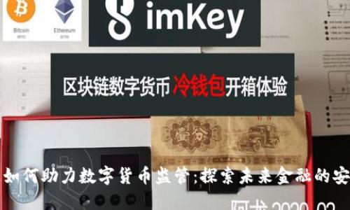 大数据如何助力数字货币监管：探索未来金融的安全生态