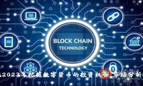 如何在2023年把握数字货币的投资机会：市场分析与策略
