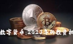 从零开始学习数字货币：2023年的投资机会与风险