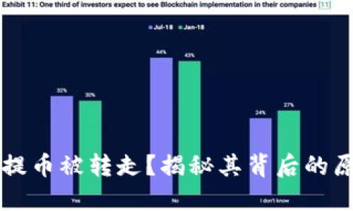 为什么TP钱包提币被转走？揭秘其背后的原因与解决方案