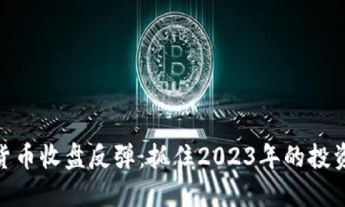 数字货币收盘反弹：抓住2023年的投资机遇