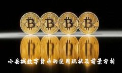 小县城数字货币的使用现状及前景分析