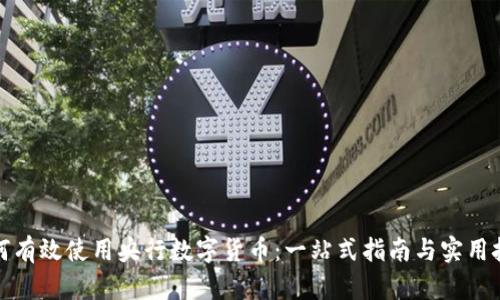 如何有效使用央行数字货币：一站式指南与实用技巧