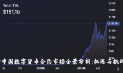 2023中国数字货币合约市场全景分析：机遇与挑战